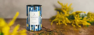 genmaicha tee wirkung